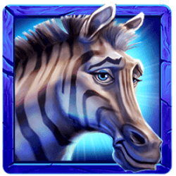savannah-gold-coin-the-wild-5